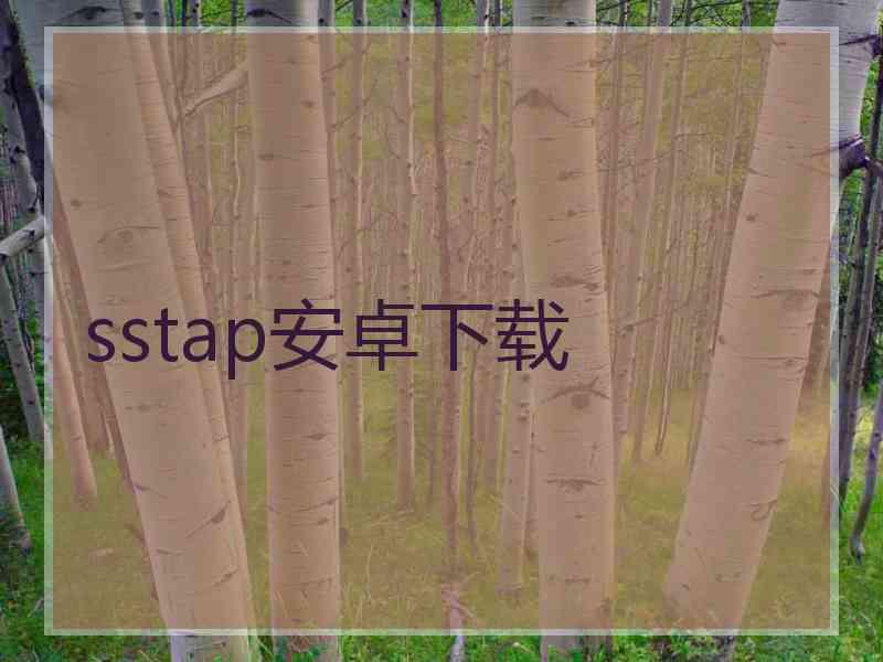 sstap安卓下载