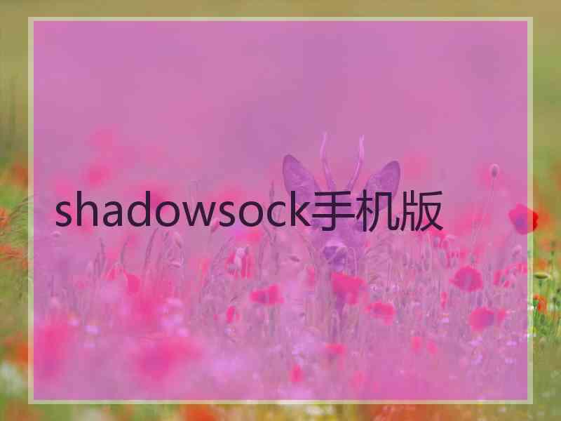 shadowsock手机版