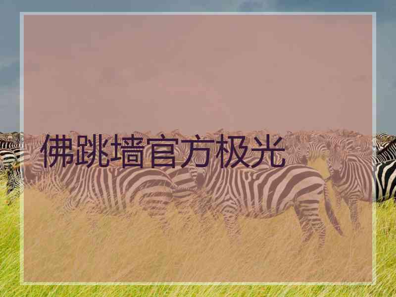 佛跳墙官方极光