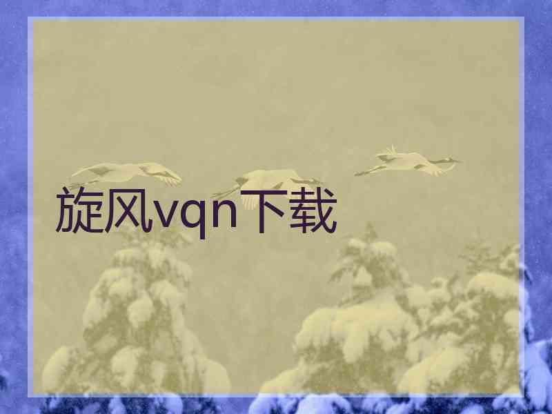 旋风vqn下载
