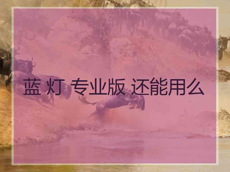 蓝 灯 专业版 还能用么