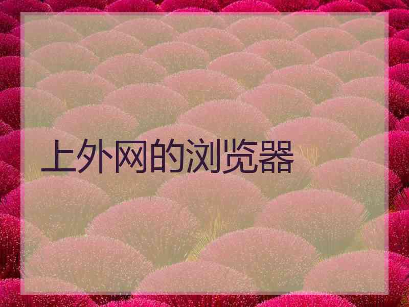 上外网的浏览器