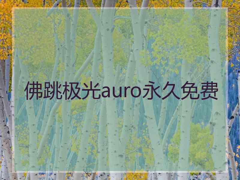 佛跳极光auro永久免费