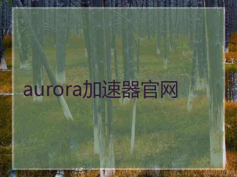 aurora加速器官网