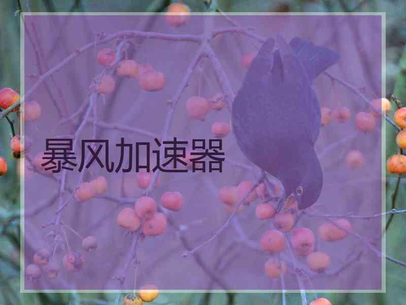 暴风加速器