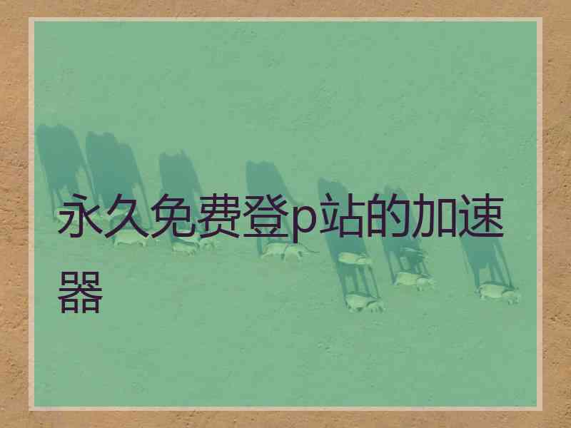 永久免费登p站的加速器