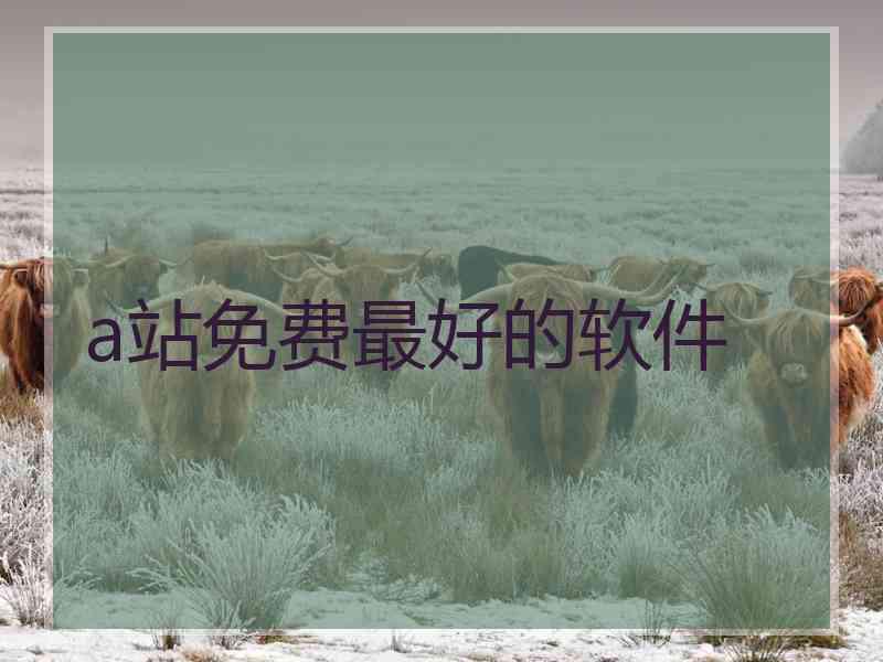 a站免费最好的软件