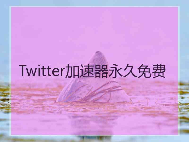 Twitter加速器永久免费