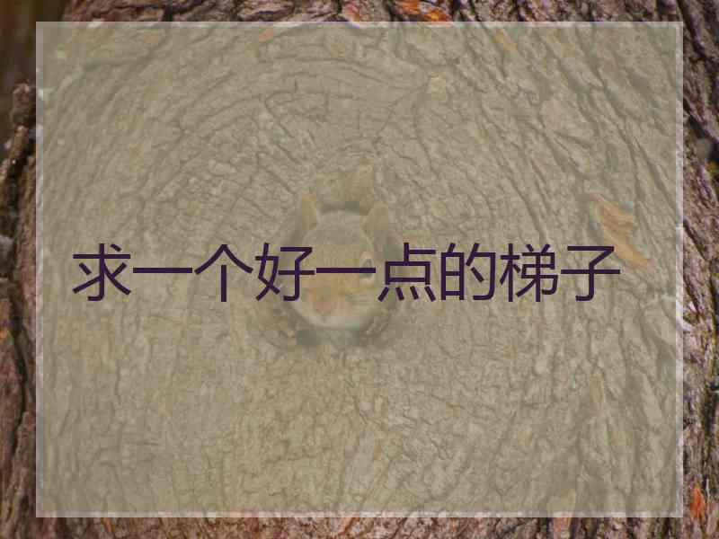 求一个好一点的梯子
