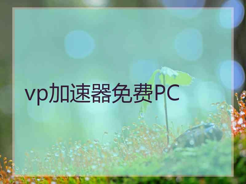 vp加速器免费PC