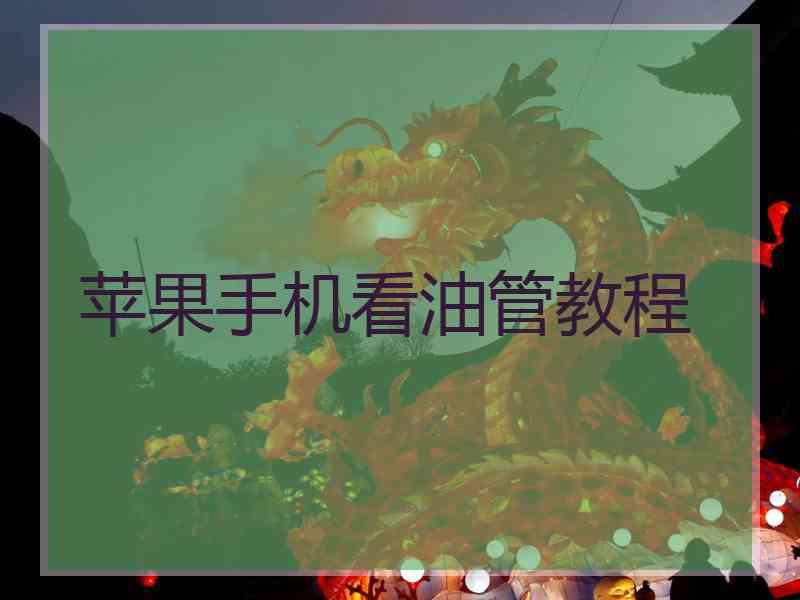 苹果手机看油管教程