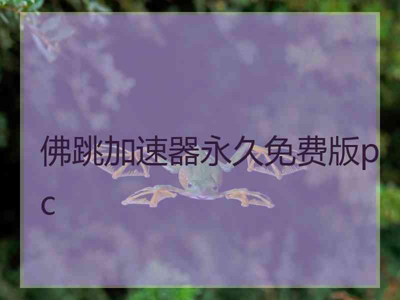 佛跳加速器永久免费版pc