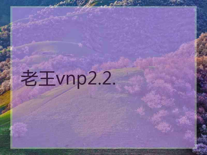 老王vnp2.2.