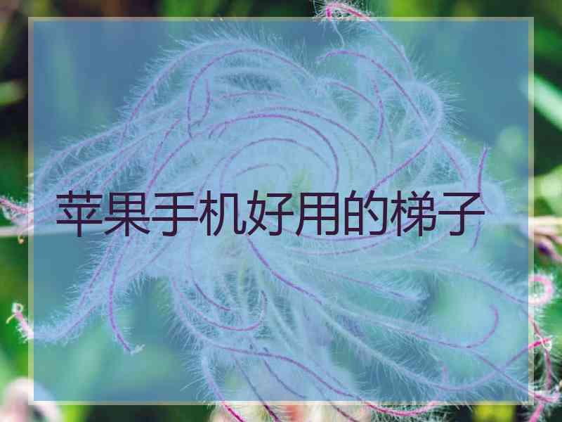 苹果手机好用的梯子