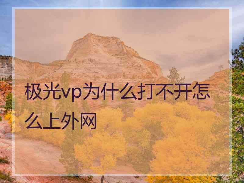 极光vp为什么打不开怎么上外网
