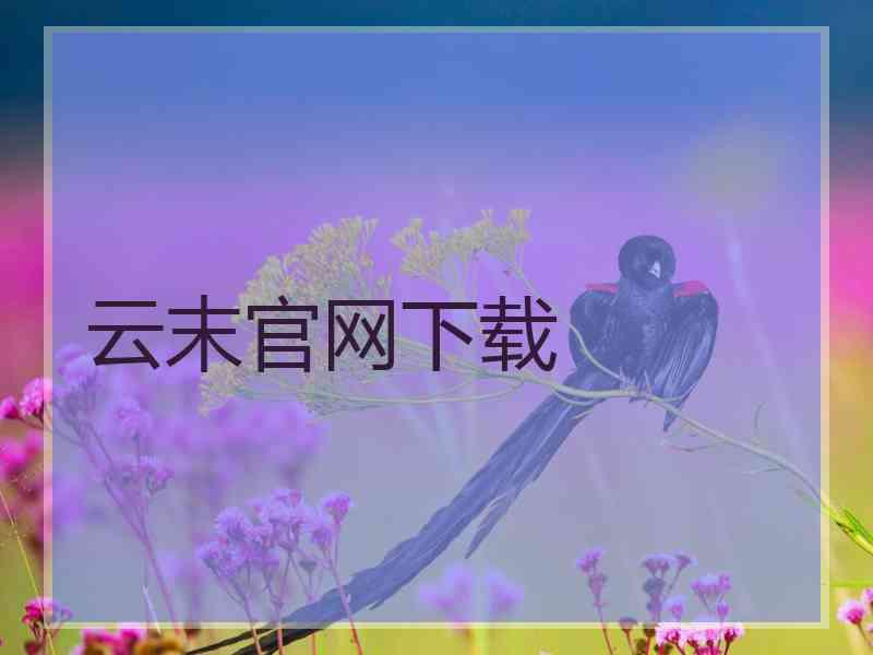 云末官网下载