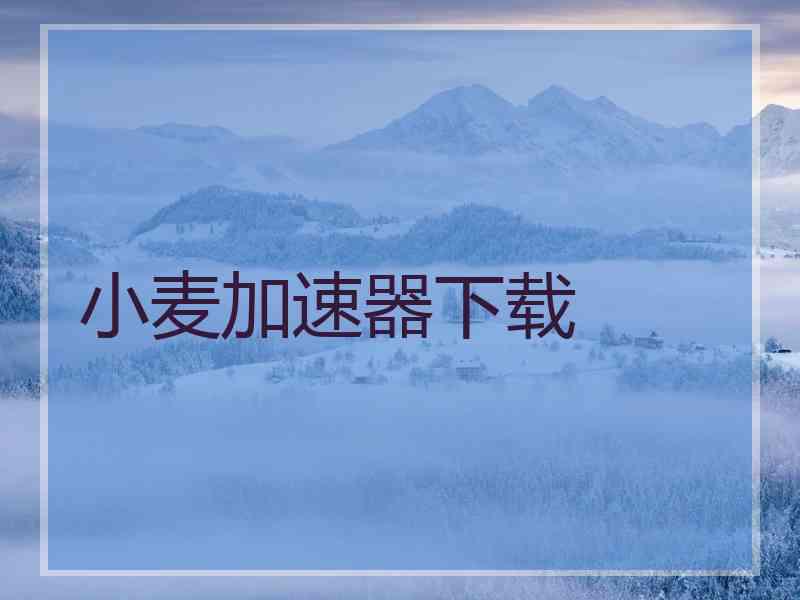 小麦加速器下载