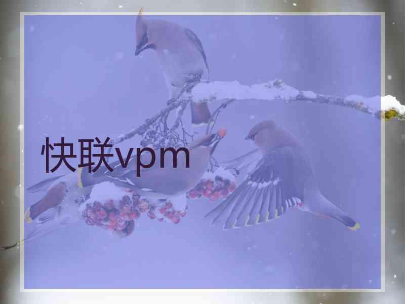 快联vpm