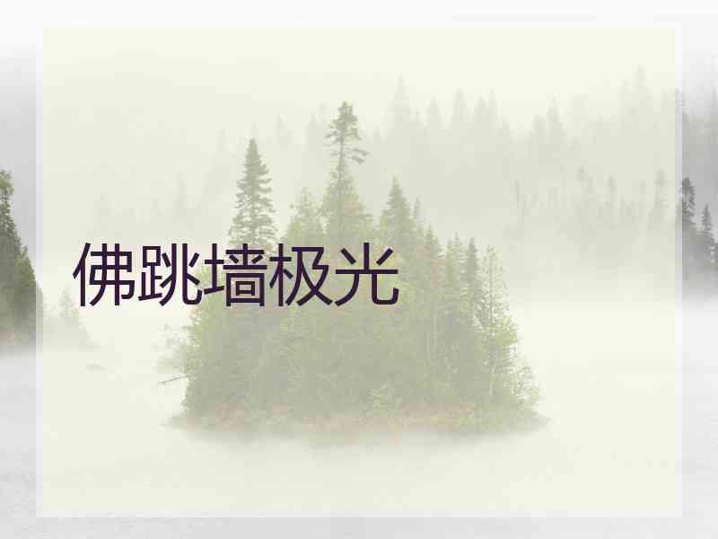 佛跳墙极光