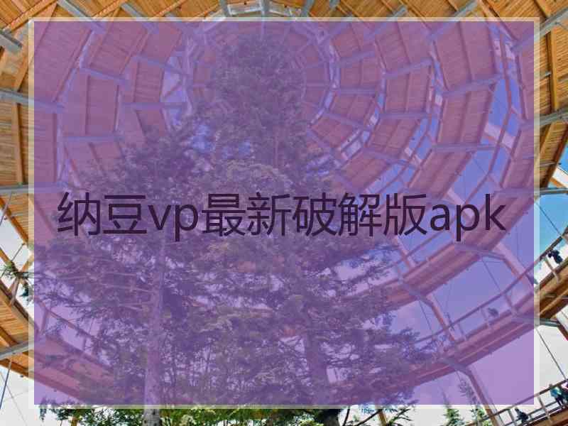 纳豆vp最新破解版apk