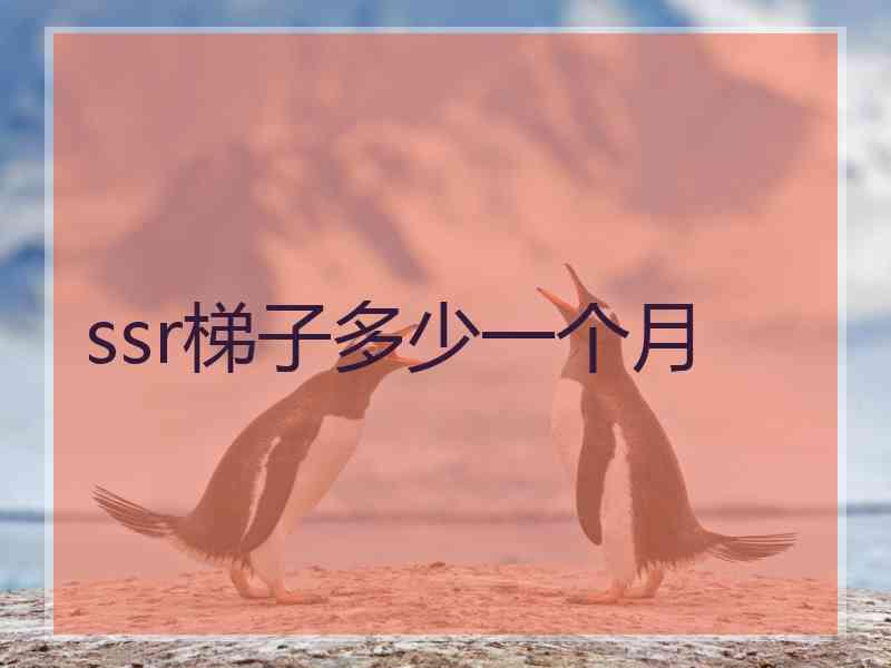 ssr梯子多少一个月