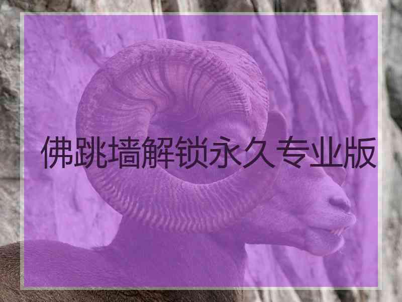 佛跳墙解锁永久专业版