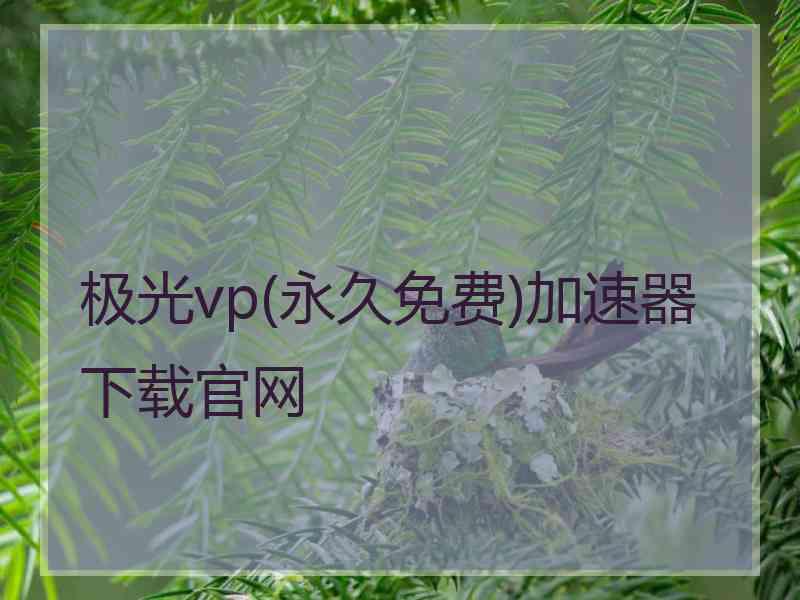 极光vp(永久免费)加速器下载官网