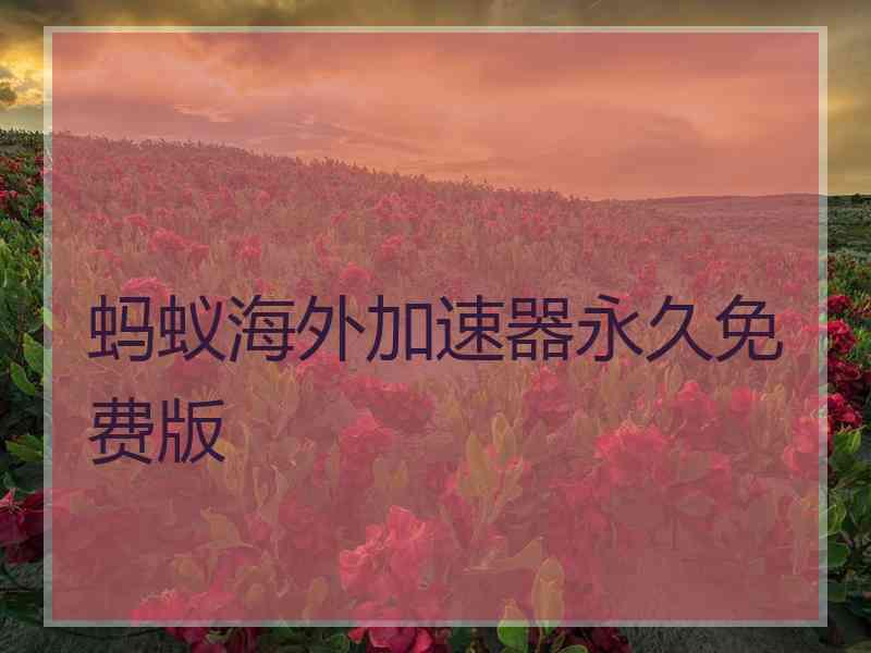 蚂蚁海外加速器永久免费版