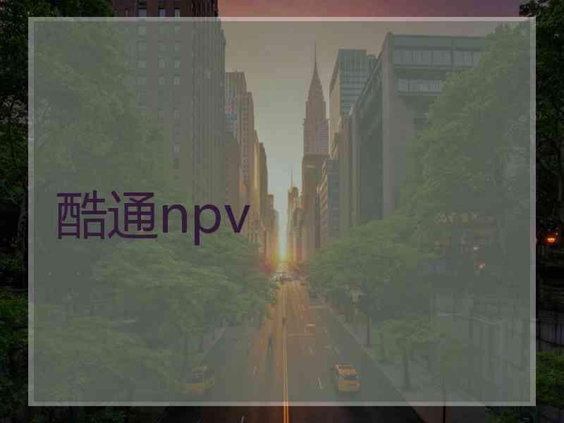 酷通npv