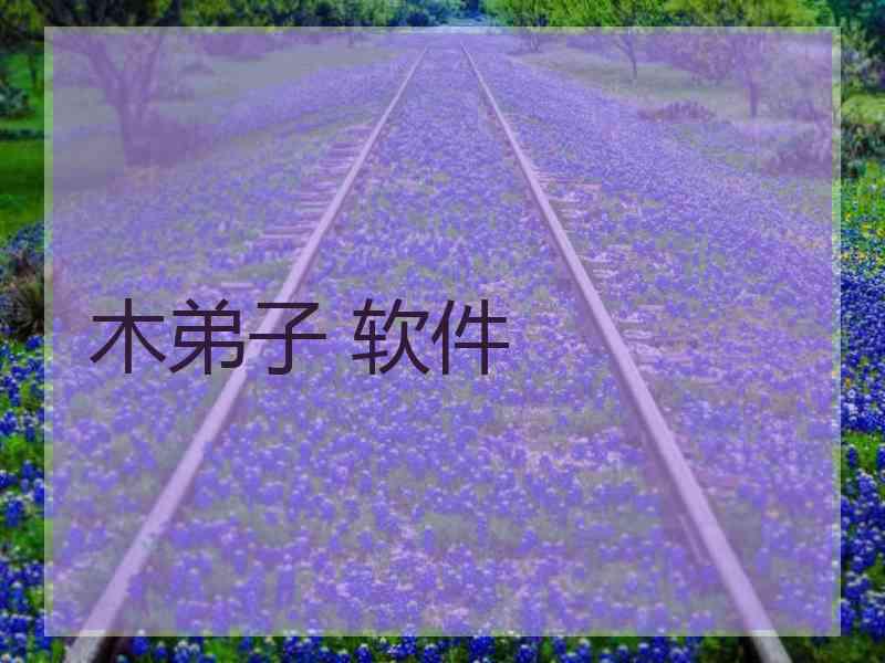 木弟子 软件