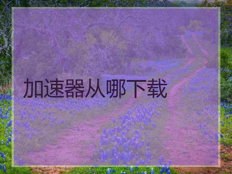 加速器从哪下载