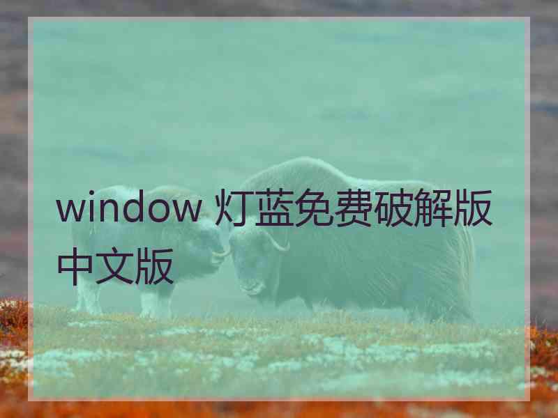 window 灯蓝免费破解版中文版