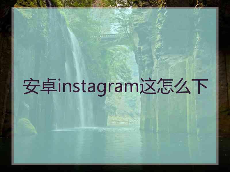 安卓instagram这怎么下