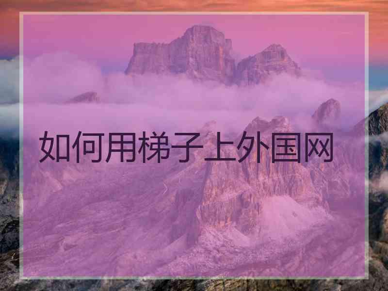 如何用梯子上外国网