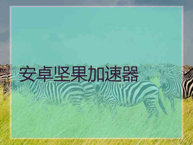 安卓坚果加速器