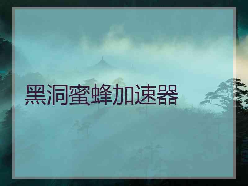 黑洞蜜蜂加速器