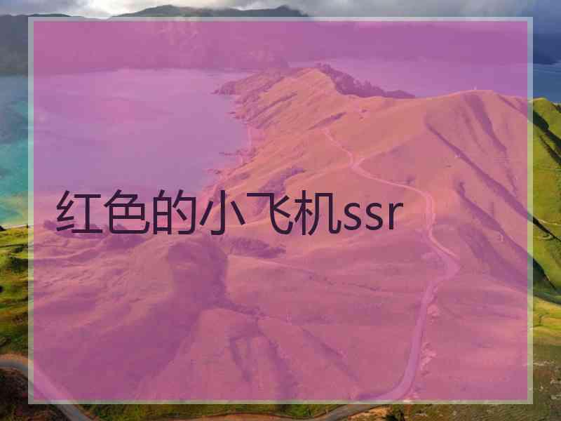 红色的小飞机ssr