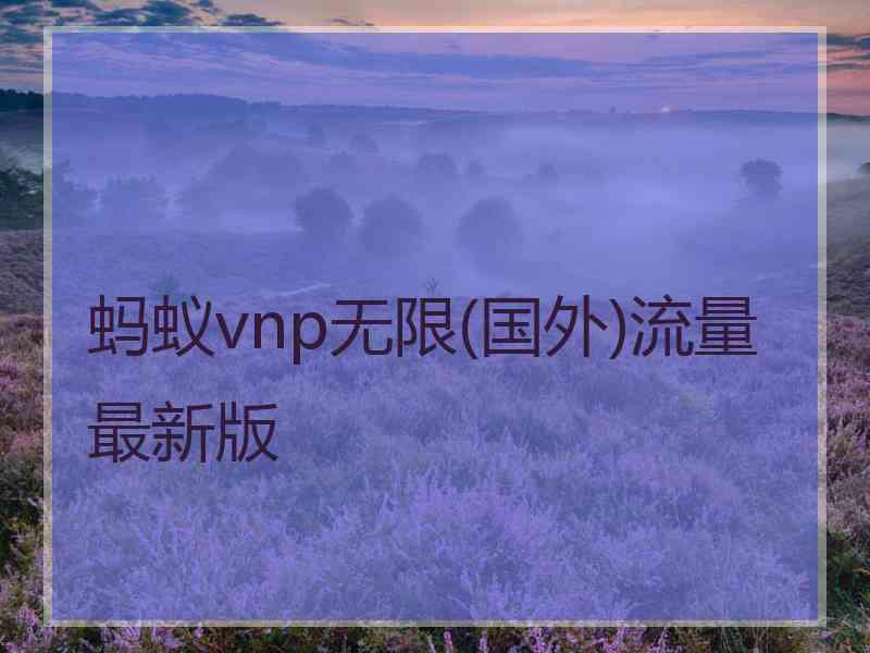 蚂蚁vnp无限(国外)流量最新版