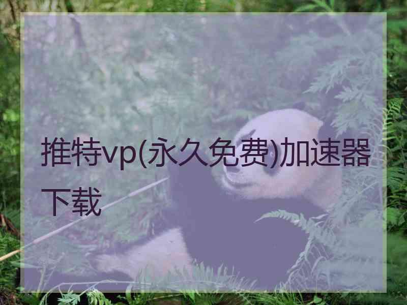 推特vp(永久免费)加速器下载