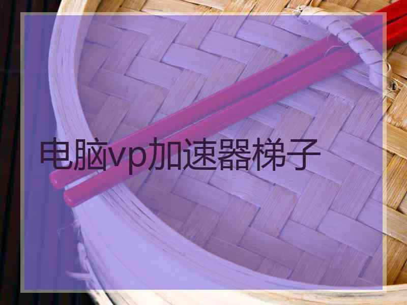 电脑vp加速器梯子