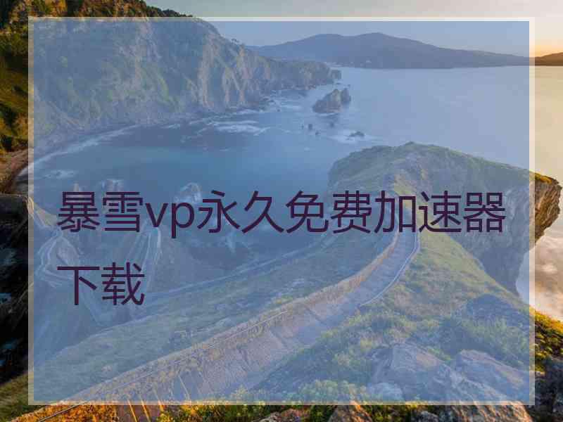 暴雪vp永久免费加速器下载