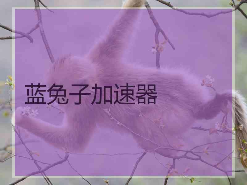 蓝兔子加速器