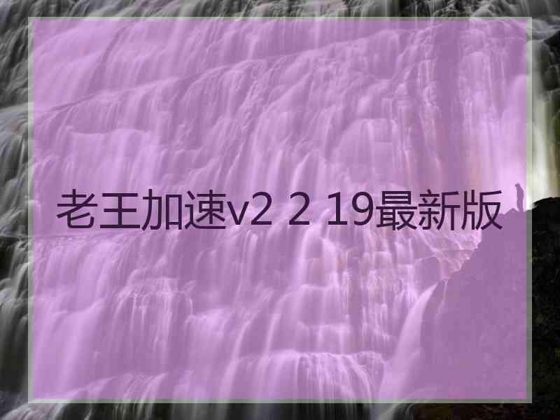 老王加速v2 2 19最新版