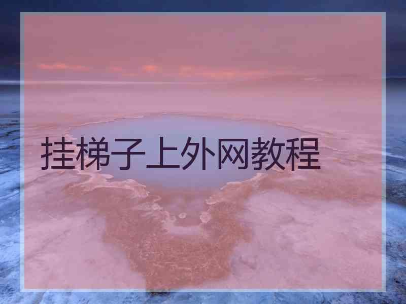 挂梯子上外网教程