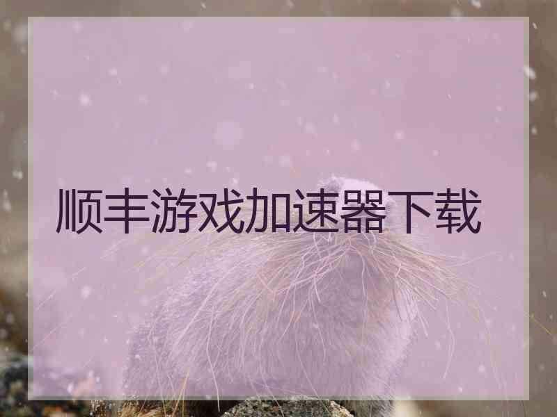 顺丰游戏加速器下载
