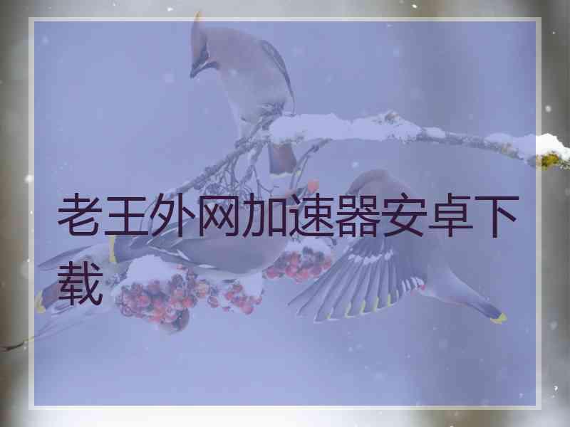 老王外网加速器安卓下载