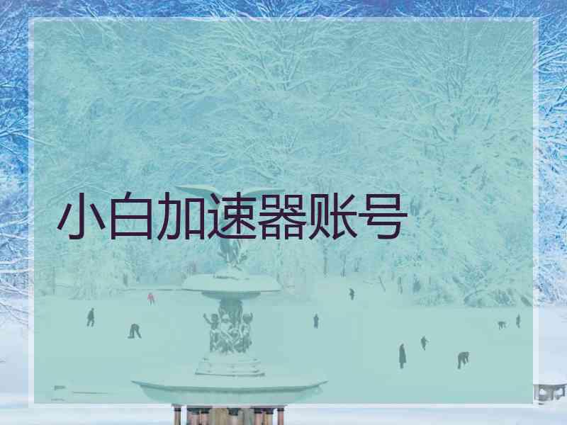 小白加速器账号