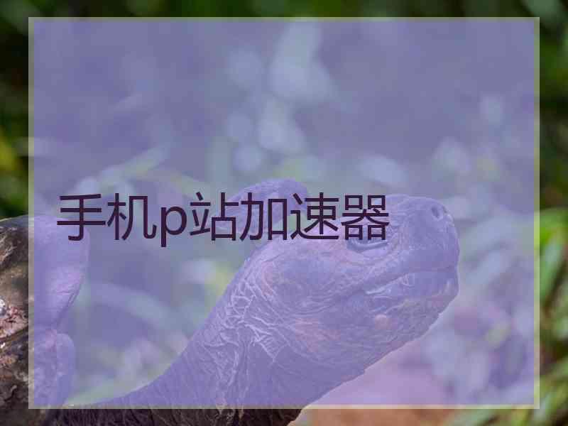 手机p站加速器