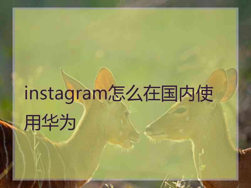 instagram怎么在国内使用华为