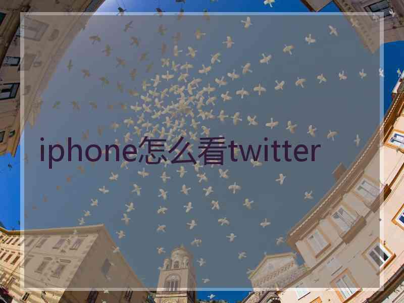iphone怎么看twitter